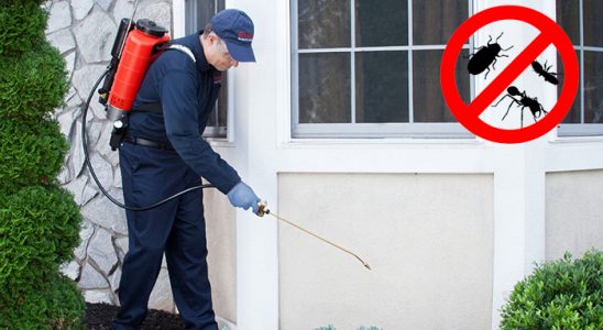 Nurdağı Haşere İlaçlama böcek ilaçlama ve haşere kontrolü — ilaclama-tr.com